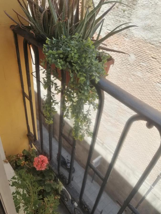 En El Rastro De